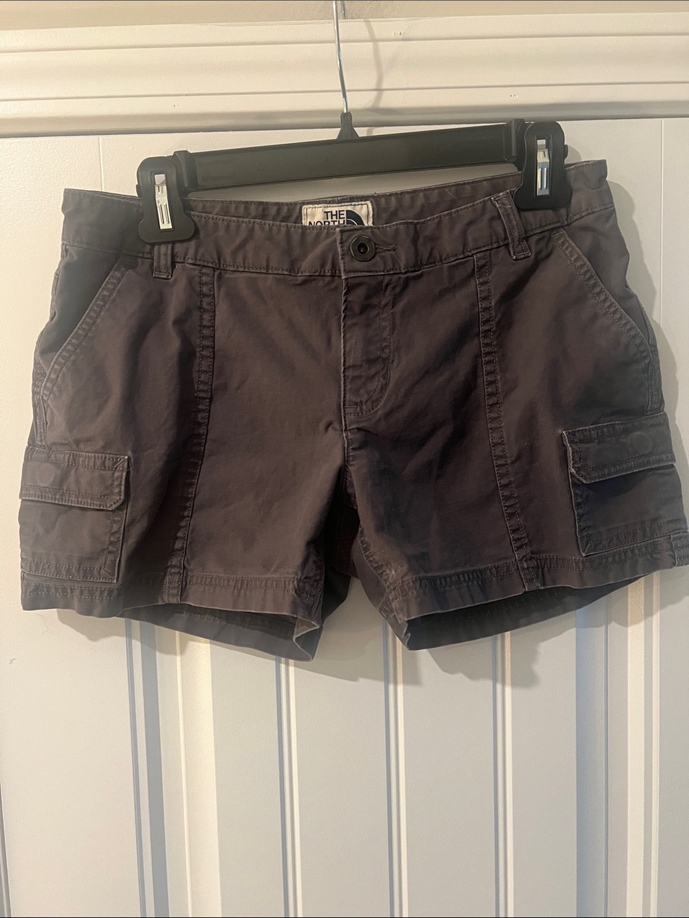 The NorthFace Cargo Shorts
